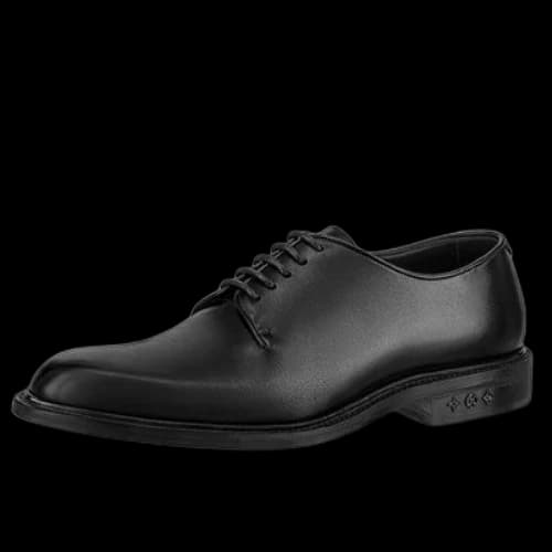 LOUIS VUITTON Flex Derby Shoes 'Black'
