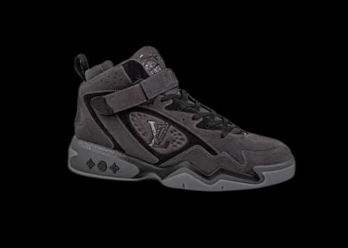 Louis Vuitton Trainer 2 Gray
