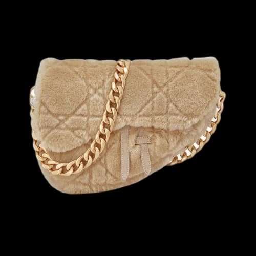 Dior x ERL Venice Saddle Bag 'Natural'