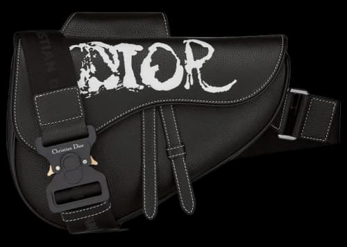 Dior x Peter Doig Saddle Bag Black