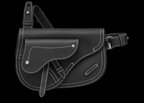 Dior x Kaws Pouch Saddle Black