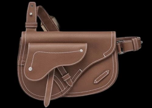 Dior x Kaws Pouch Saddle Brown