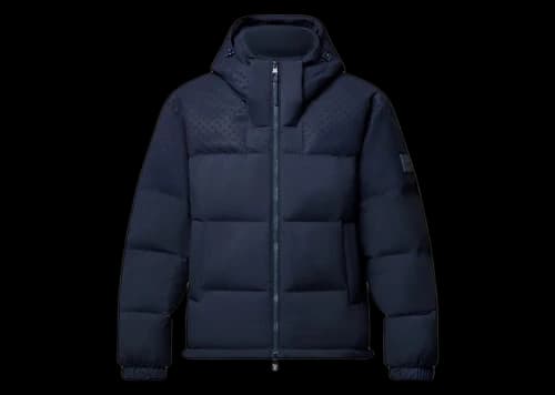Louis Vuitton Down Blouson Naval Academy