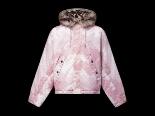Louis Vuitton x Nigo Damoflage Printed Puffer Jacket Pale Pink