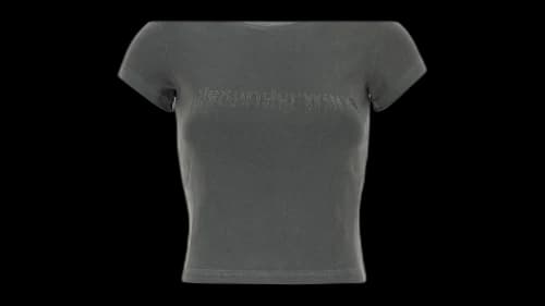 Alexander Wang Women's Hotfix Graphic Baby Tee Grey