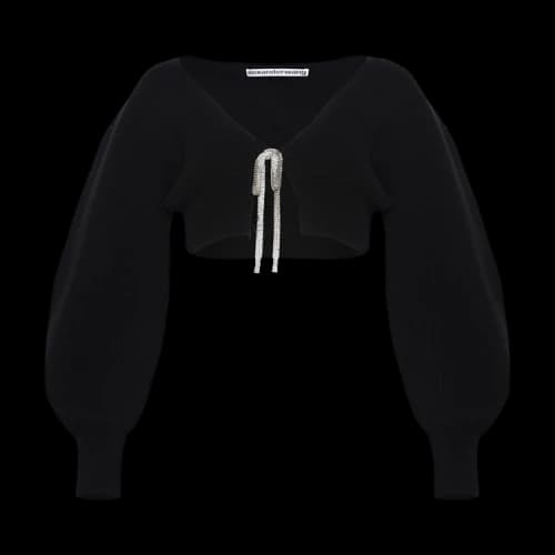 Alexander Wang V-Neck Cropped Cardigan W/ Crystal Tie 'Black'