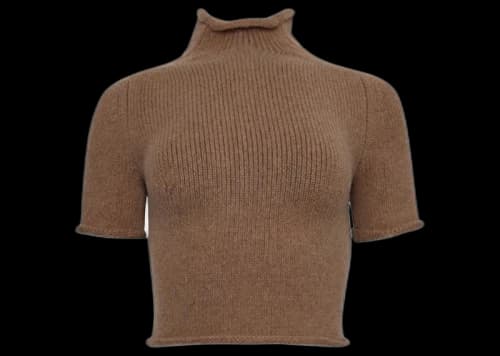 Alexander Wang Women's Cropped Compact Knit Sweater Campfire Brown
