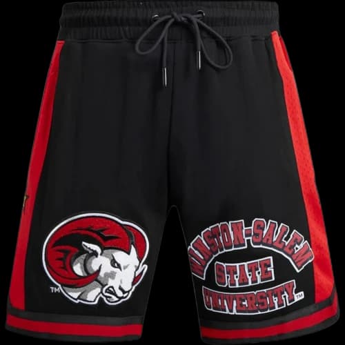 NBA Winston-Salem State Rams Pro Standard 2024 All-Star Game X HBCU Classic Chenille Shorts Black