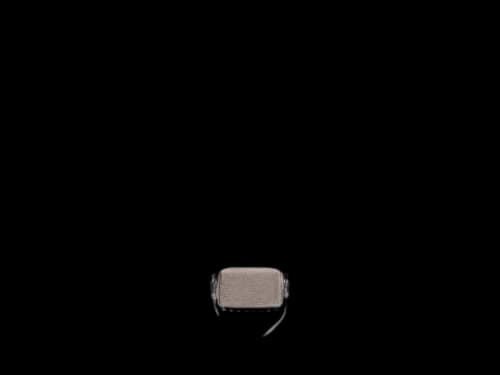 Alexander Wang Ricco Mini Crossbody Grey