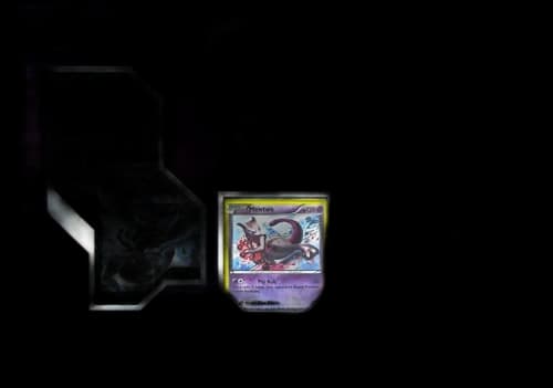 2015 Pokemon TCG Mega Mewtwo Y Collection