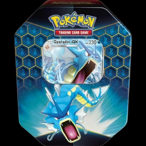 2019 Pokemon Hidden Fates Gyrados Tin