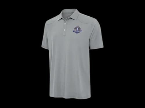 NBA x Antigua Gray 2025 All-Star Game Western Polo Grey