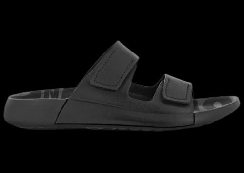 Ecco Cozmo Leather Two-Strap Sandal Black (Women's)