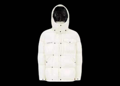 Moncler Hiroshi Fujiwara x Fragment Anthemium Short Down Jacket Silk White