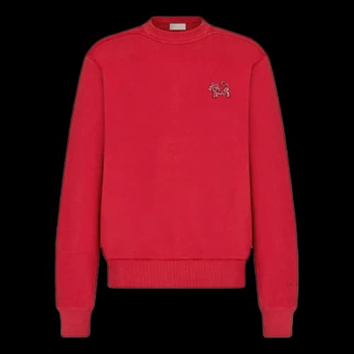 DIOR x Kenny Scharf Crossover SS22 TIGER Printing Round Neck Long Sleeves Red