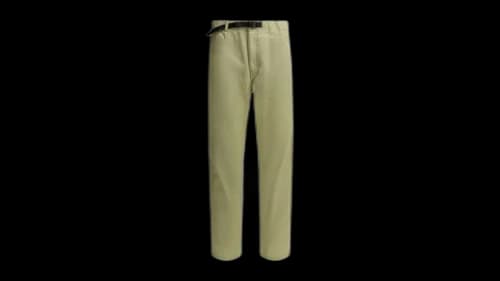 Patagonia Point Reyes Technical Pants Green