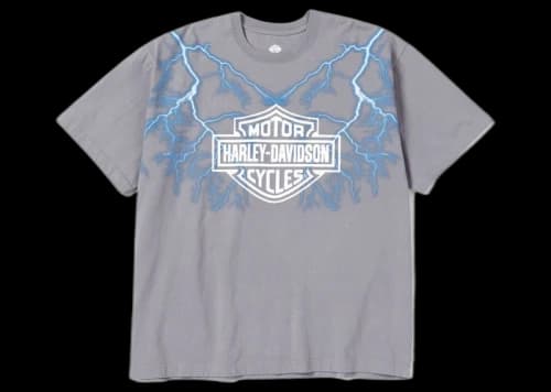Neighborhood x Harley Davidson T-Shirt Grey