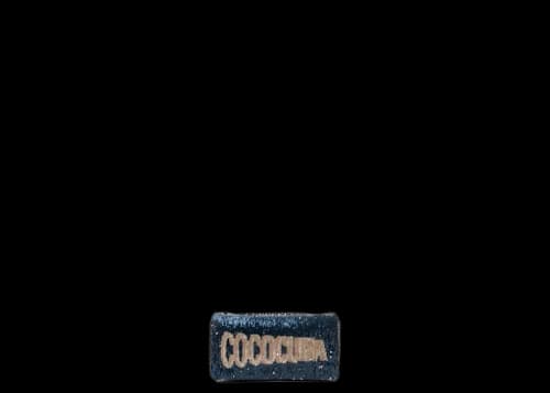 Chanel Limited Edition Coco Cuba Single Flap Sequins Silver/Blue