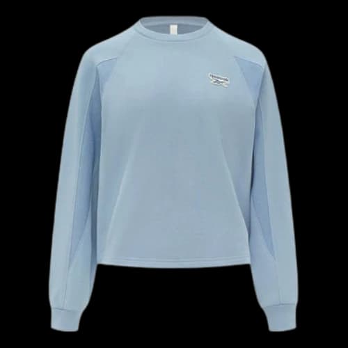Reebok Round Neck Knitted Loose Casual Pullover Sweatshirt 'Blue' (Women's)