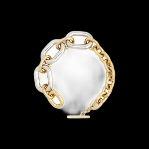 Paco Rabanne XL Link Necklace 'Gold/Silver'