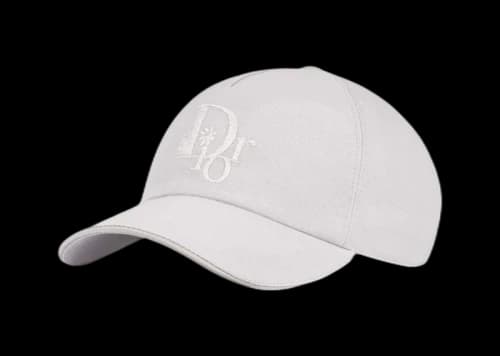 Dior x ERL Baseball Cap Gray