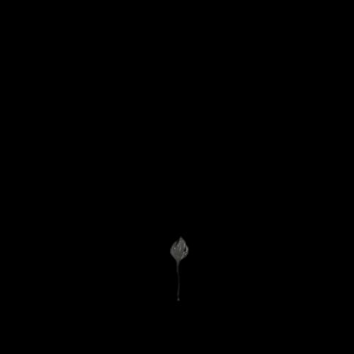 Ottolinger Diamond Dip Necklace 'Black'
