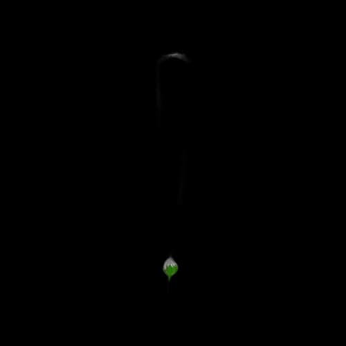 Ottolinger Diamond Dip Necklace 'Green'