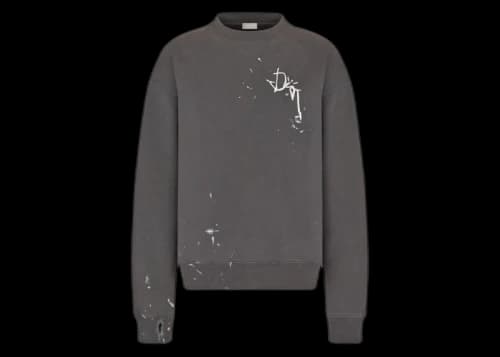 Dior x CACTUS JACK Oversized Sweatshirt Gray