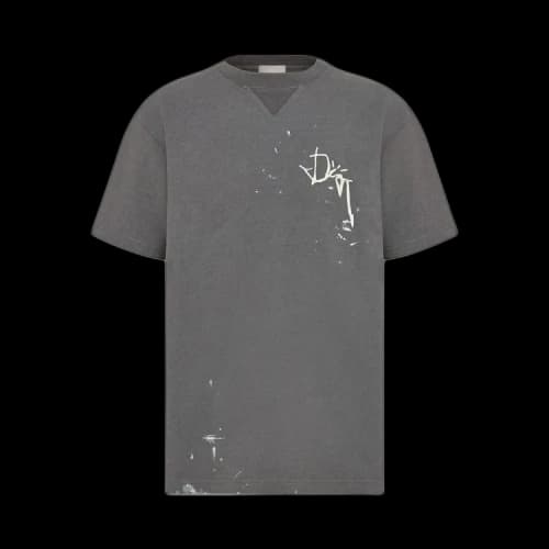 Dior x Cactus Jack Oversized T-Shirt 'Grey'