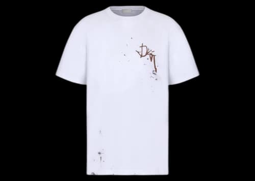 Dior x CACTUS JACK Oversized T-shirt White
