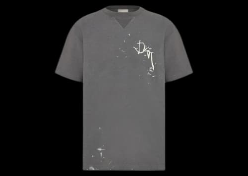 Dior x CACTUS JACK Oversized T-shirt Gray