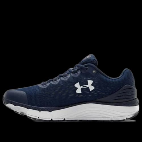 Under Armour Charged Intake 4 Sports Shoes Blue