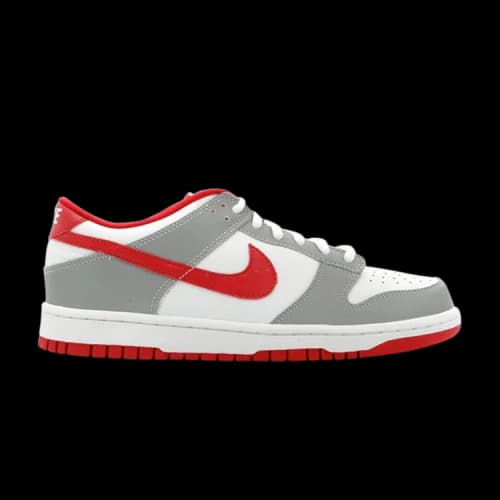 Nike Dunk Low Gs