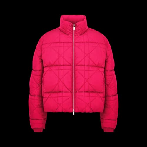 Dior x ERL Down Jacket 'Pink'