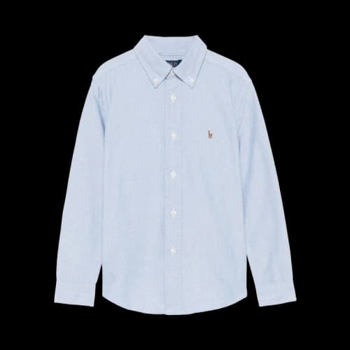 Polo Ralph Lauren Oxford Button Down Sportshirt 'Blue'