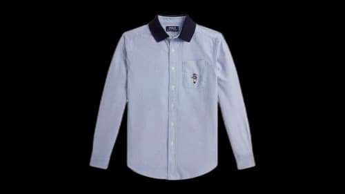 Polo Ralph Lauren Kids Knit Collar Long Sleeve Classic Oxford Novelty Bear Sport Shirt Bsr Blue