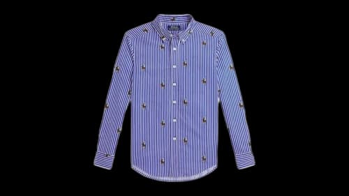 Polo Ralph Lauren Kids Stripe Long Sleeve Poplin Novelty Equestrian Bear Sport Shirt Equestrian Bear Stripe