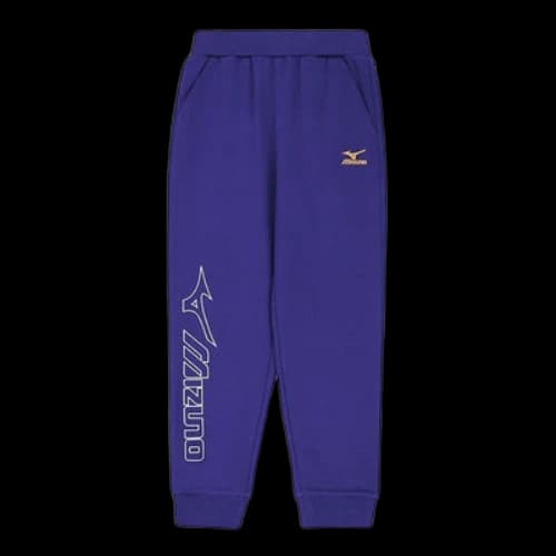 (GS) Mizuno Sportswear Pants 'Blue'
