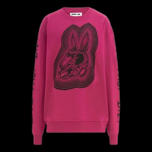 Alexander McQueen Printing Round Neck Pullover Hoodie 'Rose Red' (Women's)