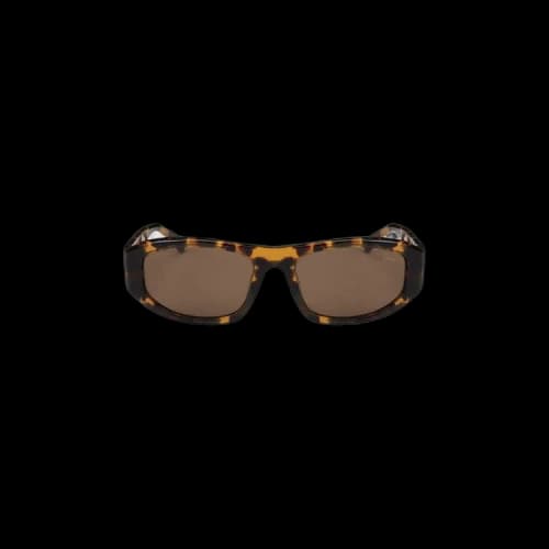 Stussy Landon Sunglasses 'Brown Tort/Black'