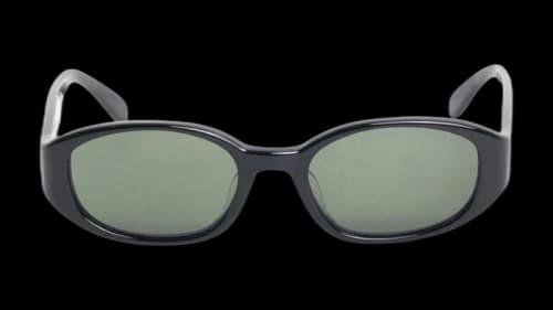 Stussy Roman Sunglasses Black/Dark Green Lens