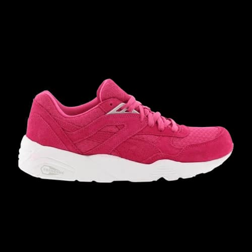 PUMA R698 Mesh Evolution