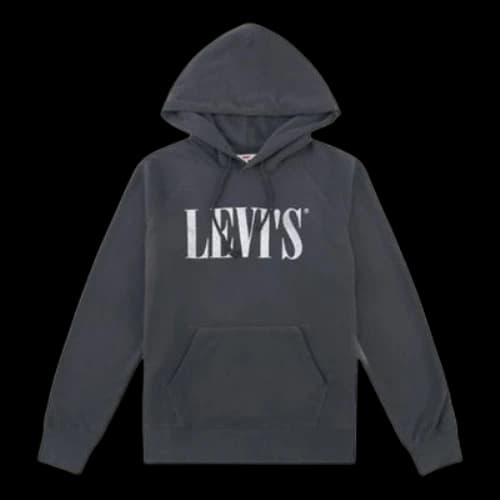 Levi's Alphabet Logo Printing Hoodie Gray (Women's)