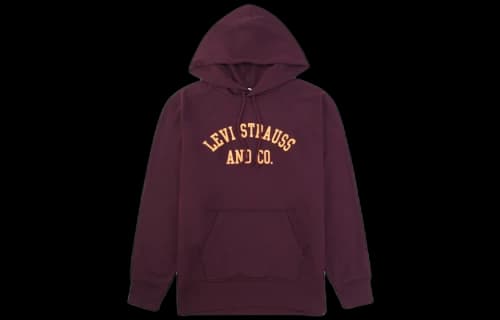 Levis Levi's Alphabet Long Sleeves Hoodie 'Red' (Women's)