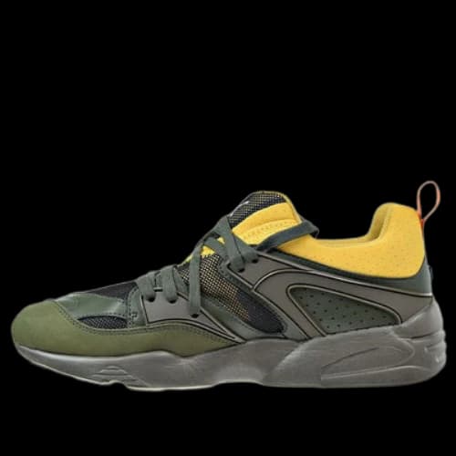 PUMA Blaze Of Glory Green Low Tops Sports Shoe