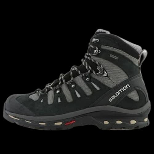 Salomon Quest 4D 2 Gtx