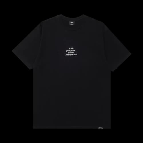 Stussy Fpar Great Future Tee 'Black'