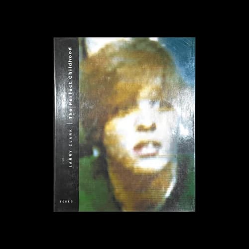 Books The Perfect Childhood by Larry Clark