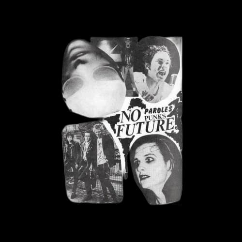 Books Paroles Punks No Future, 1978