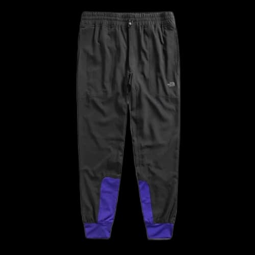 THE NORTH FACE Sportswear Pants 'Black'